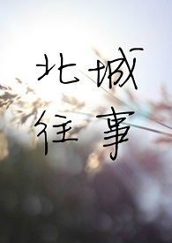 遇见席北城h