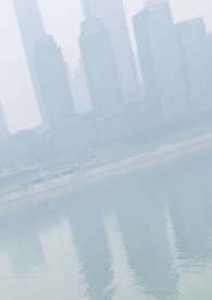 错位父母